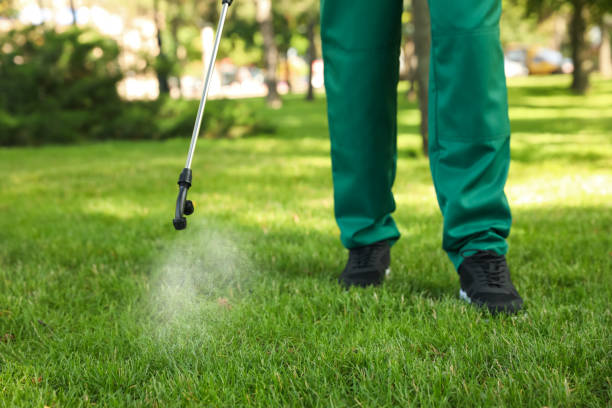 Best Mosquito Control Services  in Braddock, VA