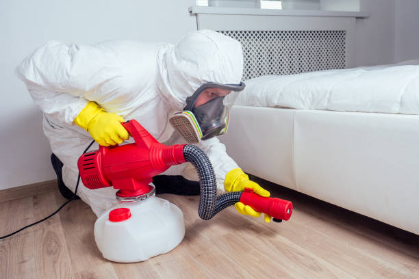 Best Local Pest Control Services  in Braddock, VA