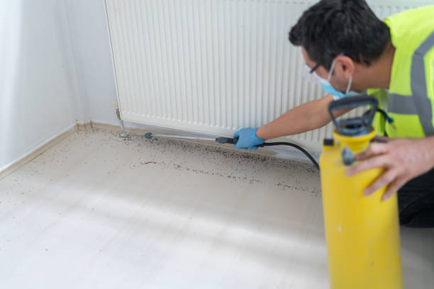 Best Emergency Pest Control  in Braddock, VA